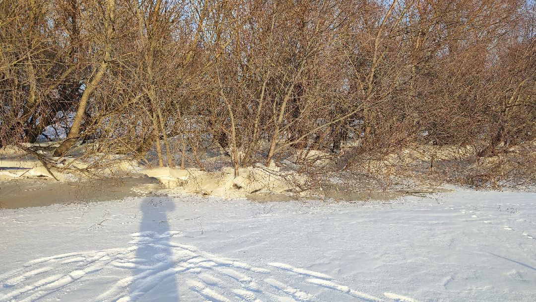 Кашира, погода