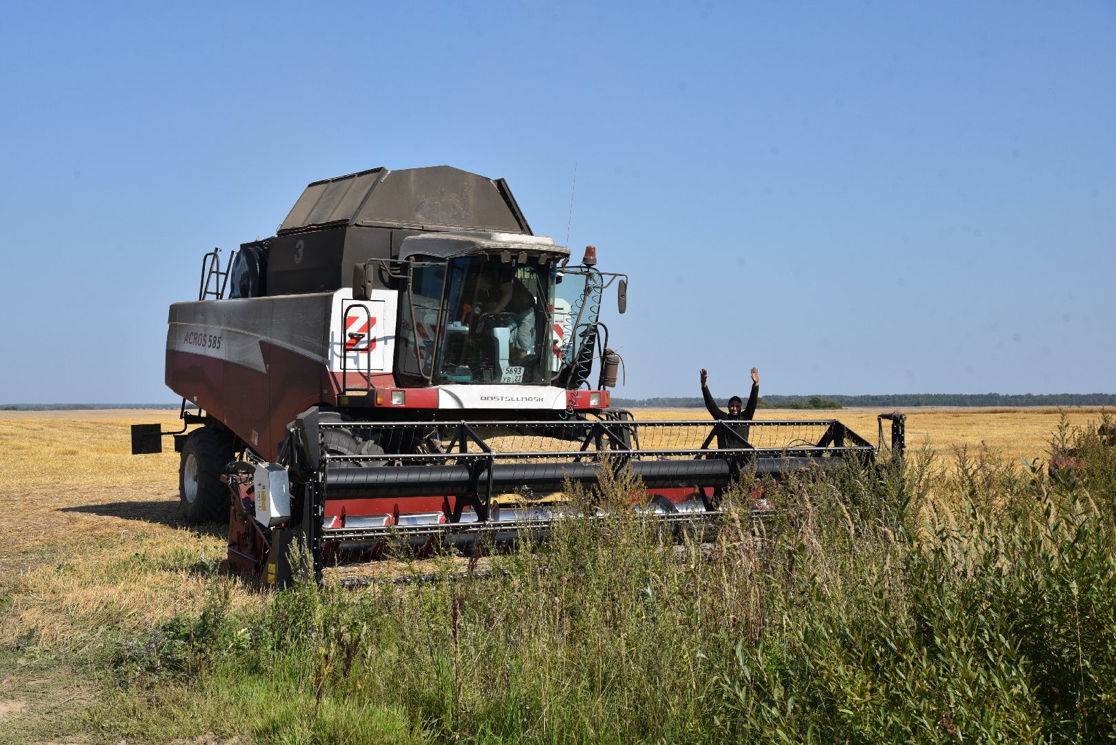 лотошино, сельское хозяйство, уборка урожая, урожай 2024,