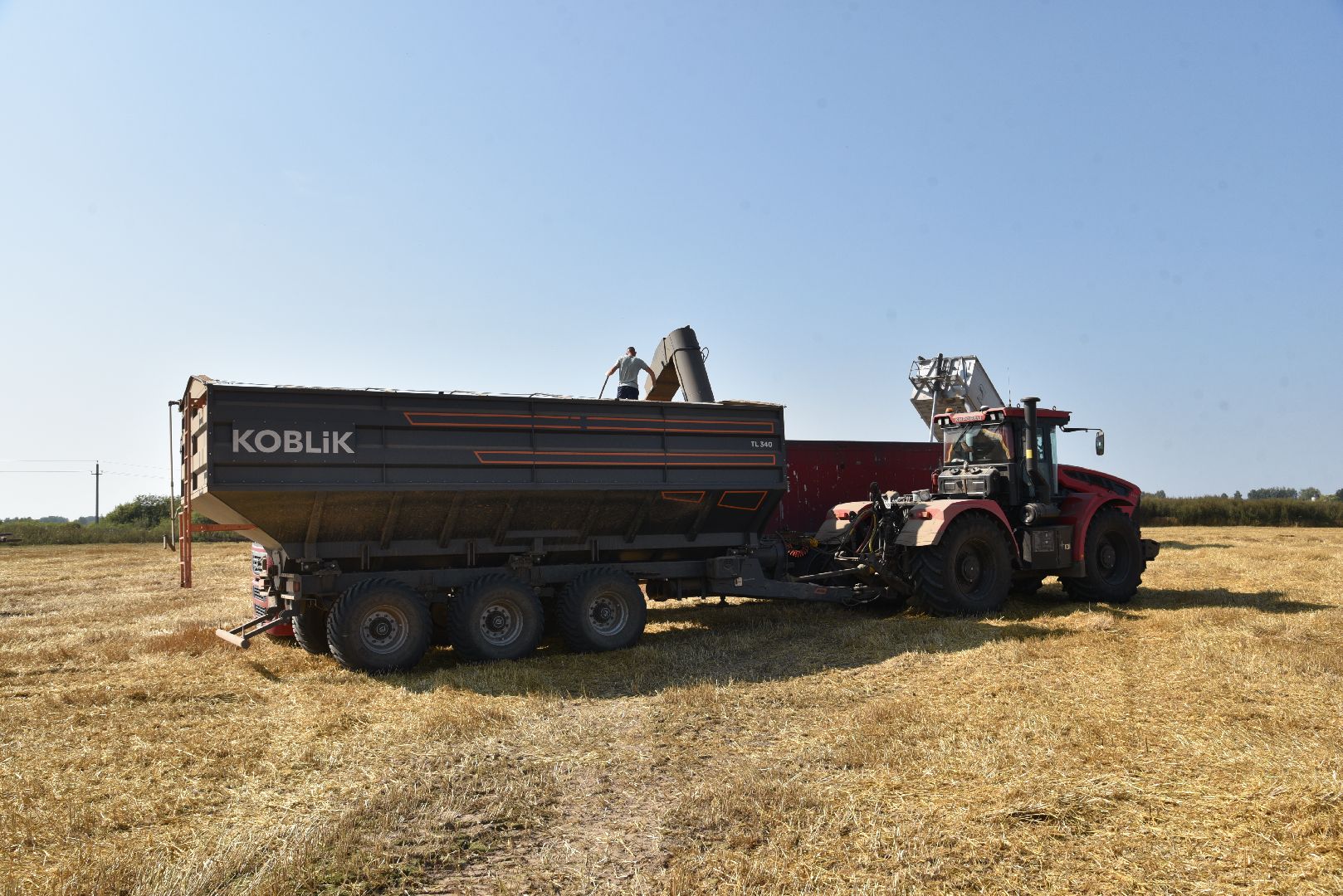 лотошино, сельское хозяйство, уборка урожая, урожай 2024,