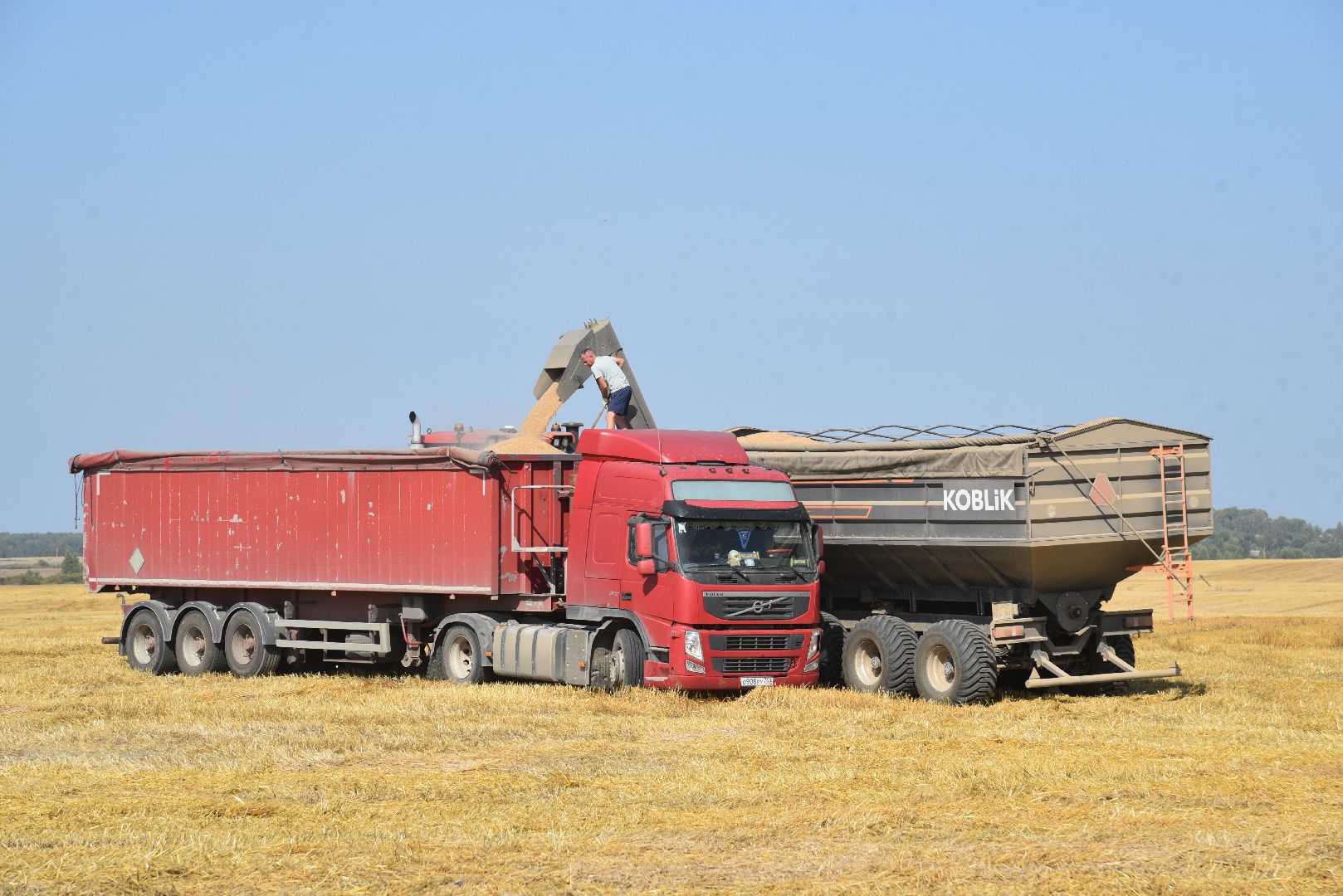 лотошино, сельское хозяйство, уборка урожая, урожай 2024,