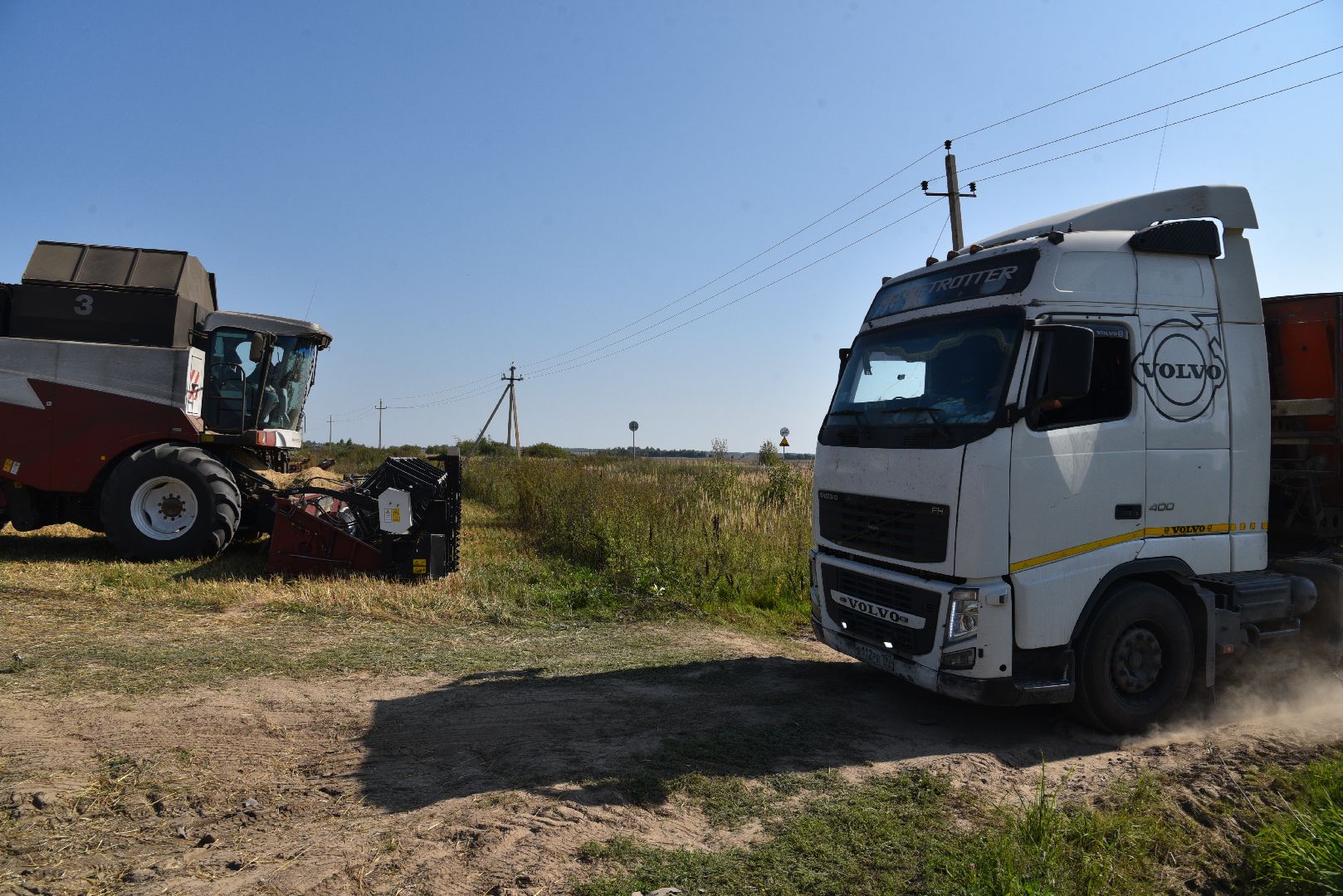 лотошино, сельское хозяйство, уборка урожая, урожай 2024,