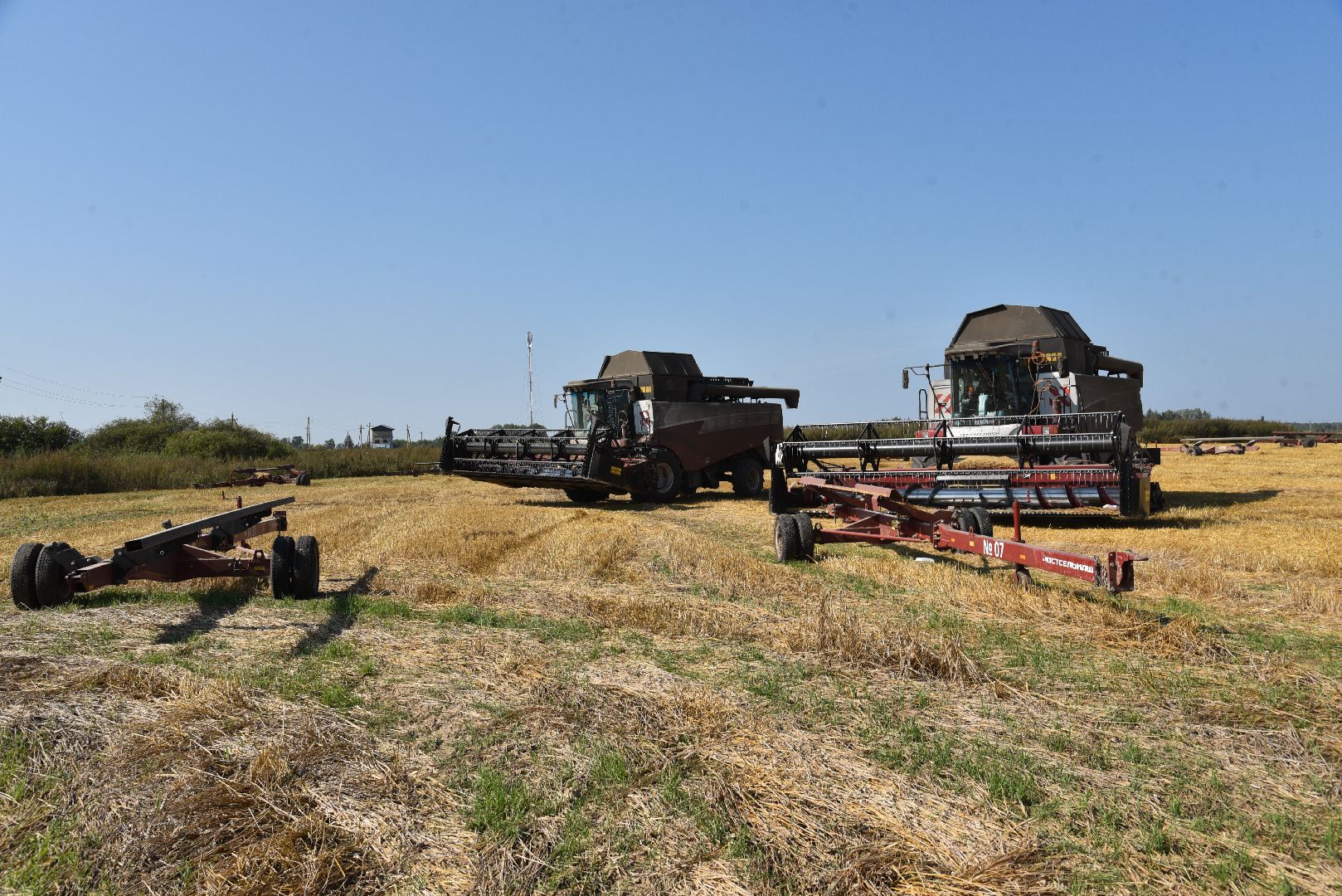 лотошино, сельское хозяйство, уборка урожая, урожай 2024,