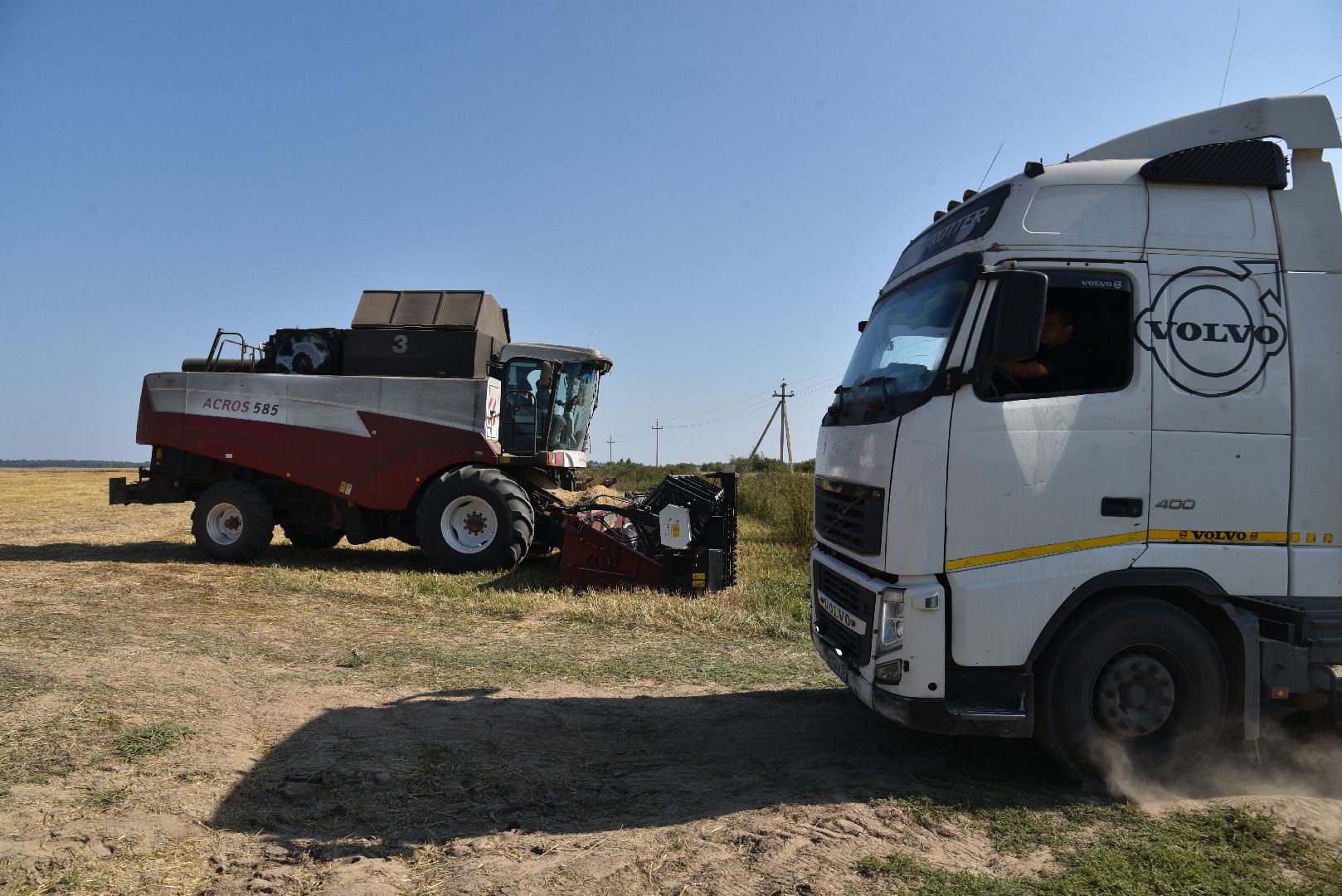 лотошино, сельское хозяйство, уборка урожая, урожай 2024,