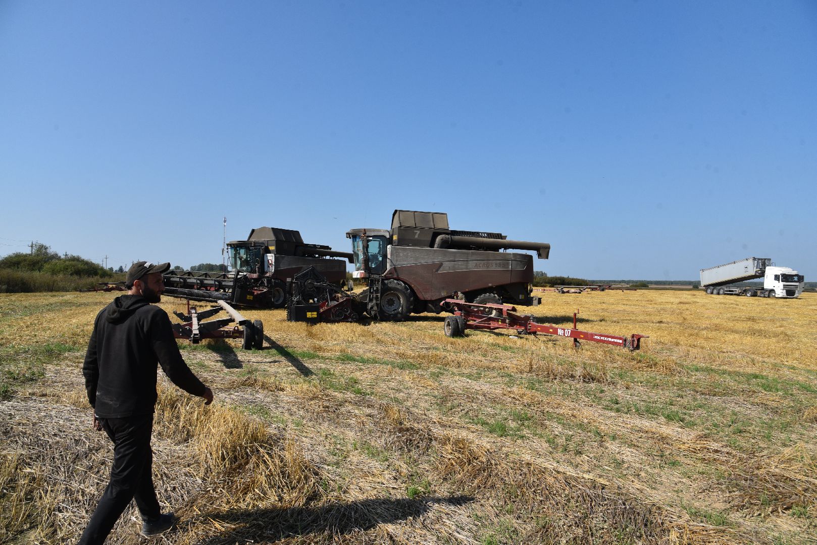 лотошино, сельское хозяйство, уборка урожая, урожай 2024,