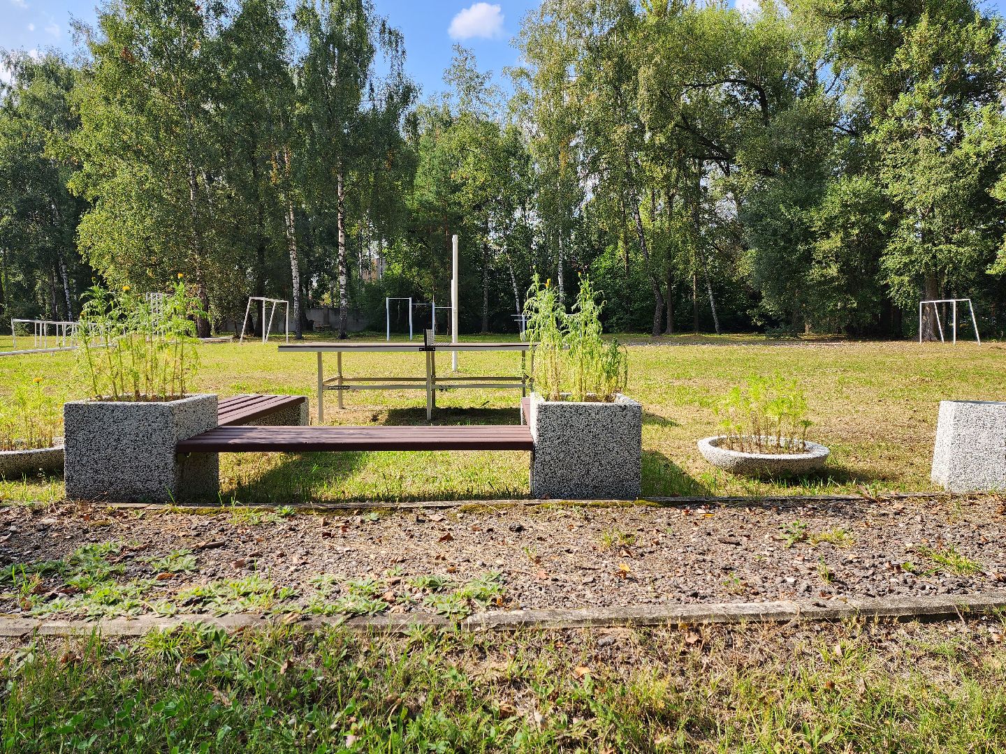 раменское, образование, быковская школа 15, благоустройство школьной территории на улице станционной,