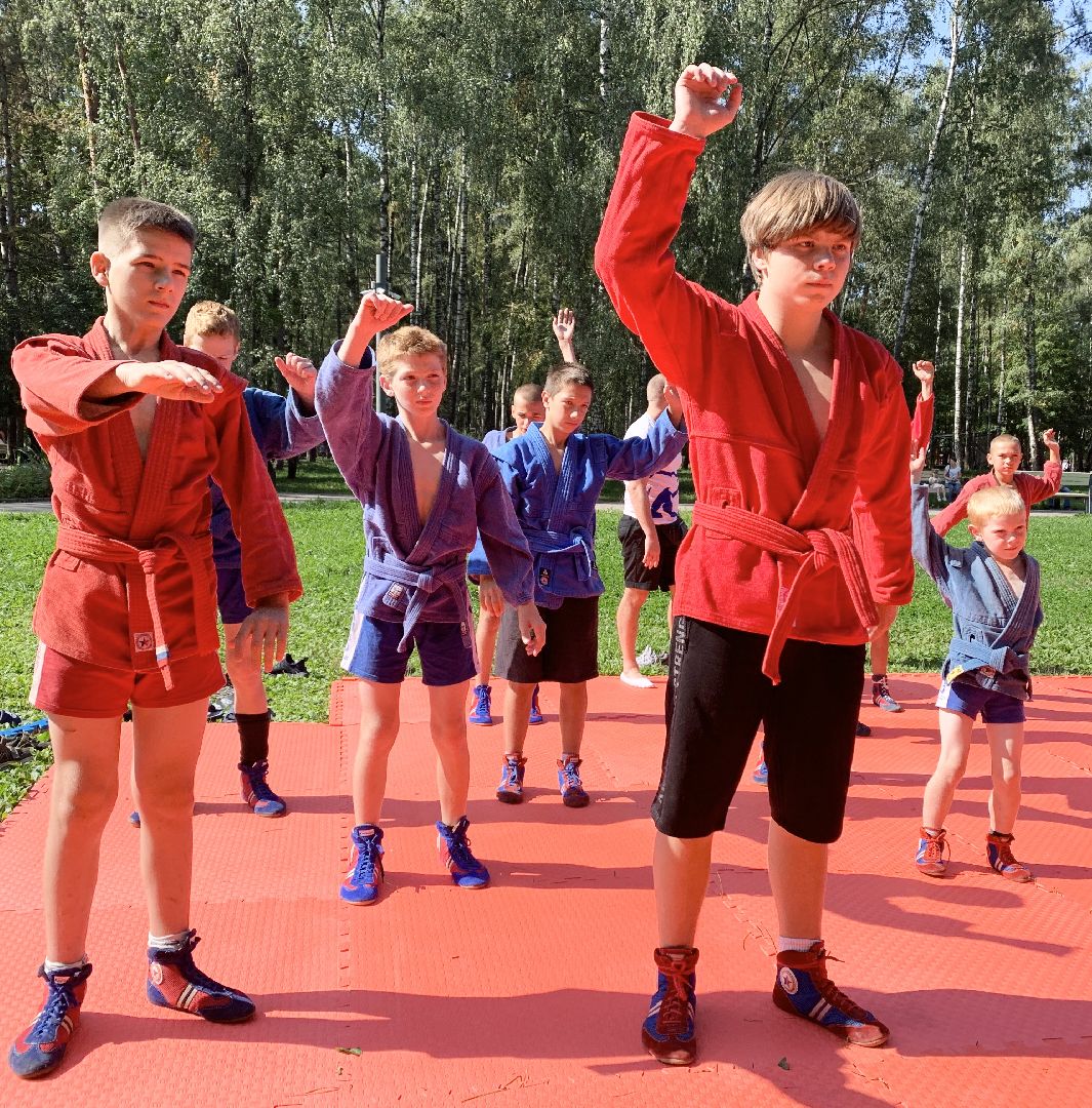 Балашиха, Подмосковье, Мастер-класс по самбо, Парки, Самбо, Парки Балашихи,