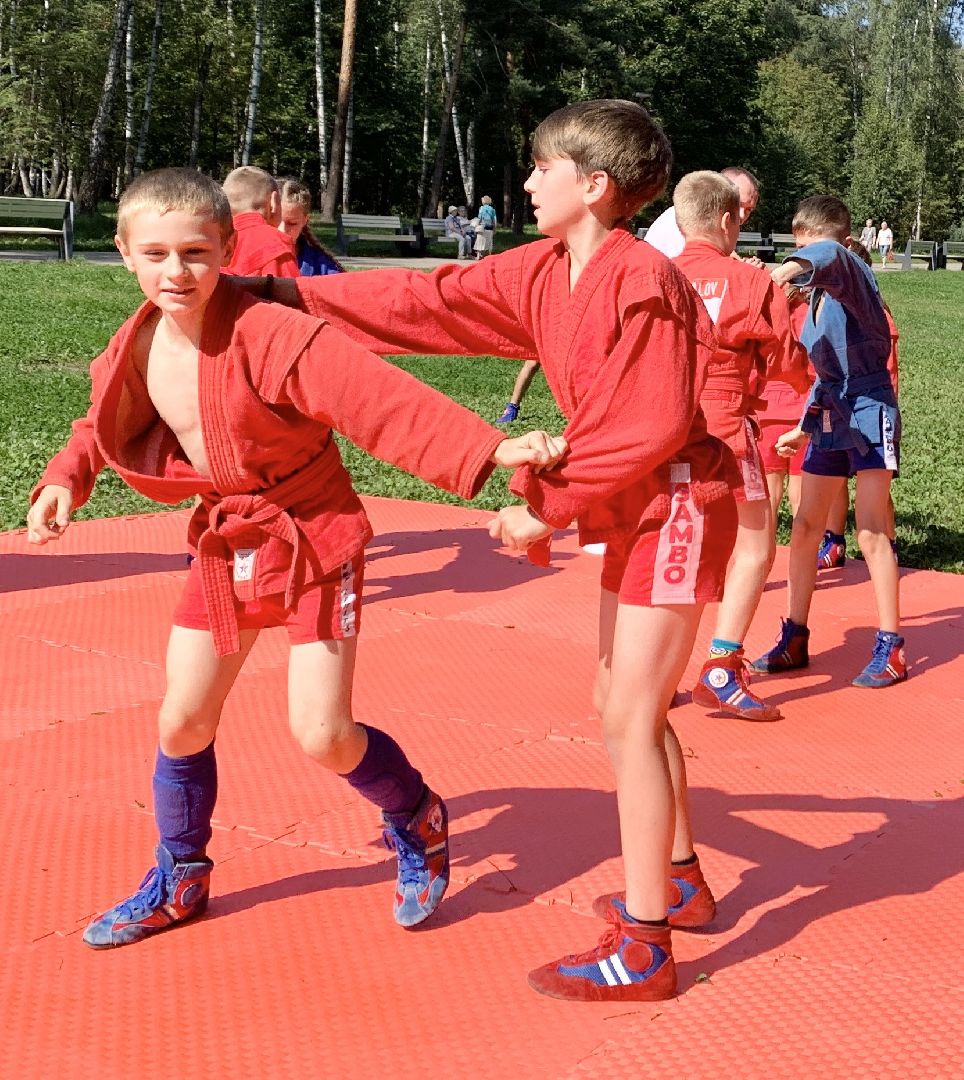 Балашиха, Подмосковье, Мастер-класс по самбо, Парки, Самбо, Парки Балашихи,