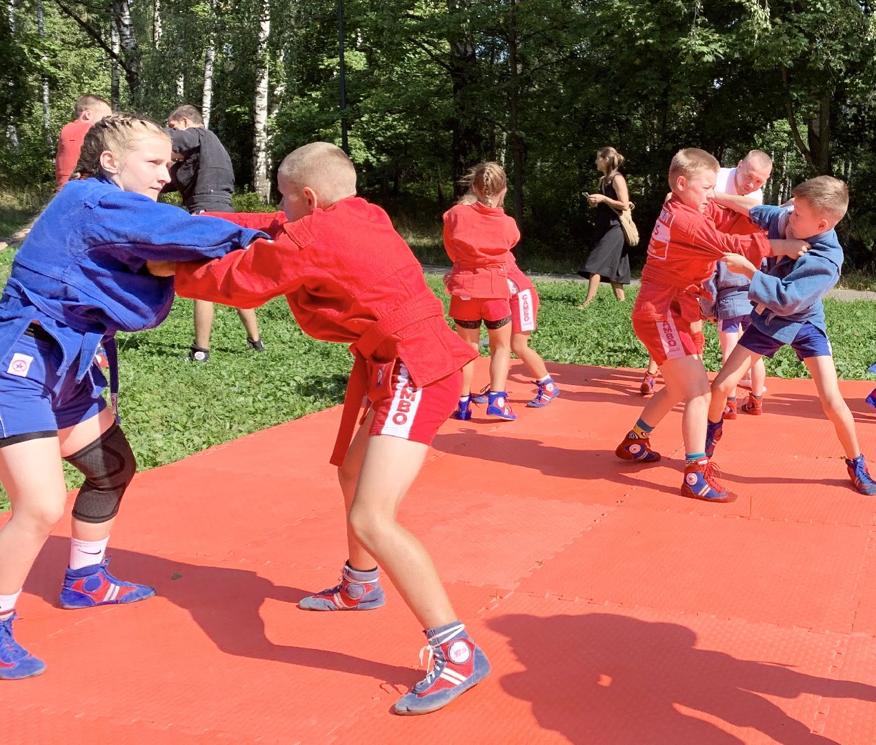 Балашиха, Подмосковье, Мастер-класс по самбо, Парки, Самбо, Парки Балашихи,
