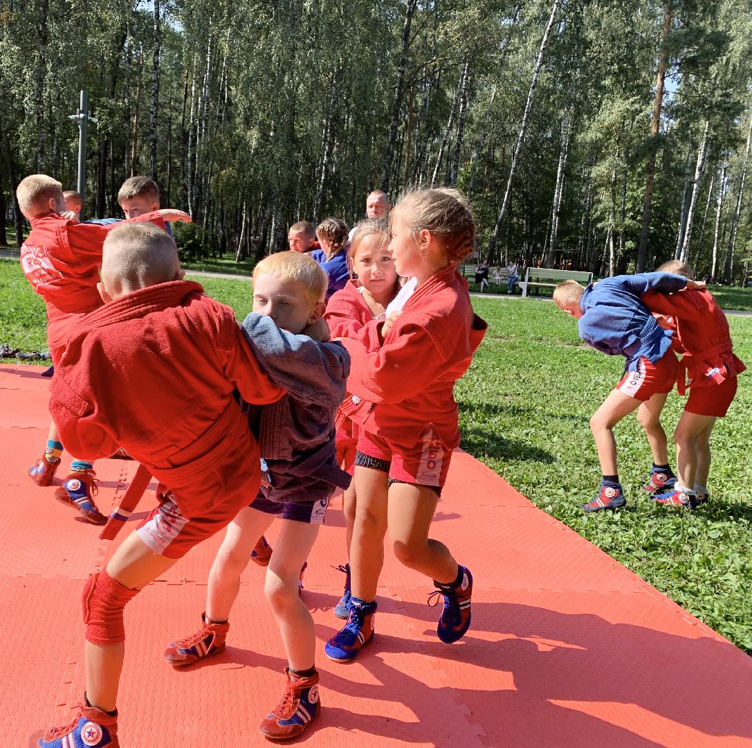 Балашиха, Подмосковье, Мастер-класс по самбо, Парки, Самбо, Парки Балашихи,