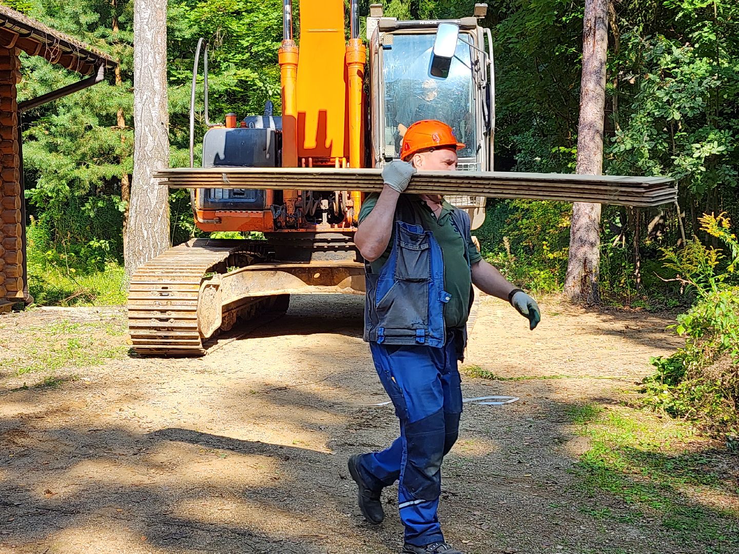 истра, лесное хозяйство, незаконное строительство,