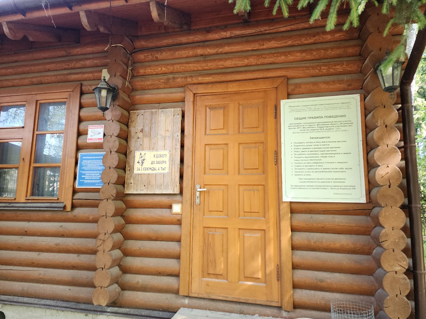 истра, лесное хозяйство, незаконное строительство,