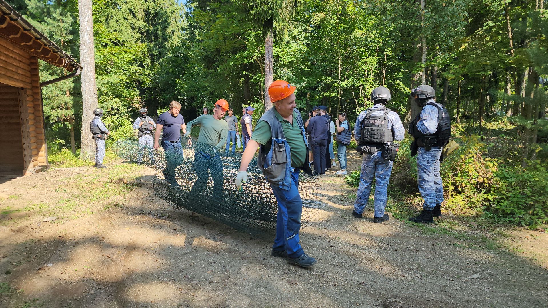 истра, лесное хозяйство, незаконное строительство,