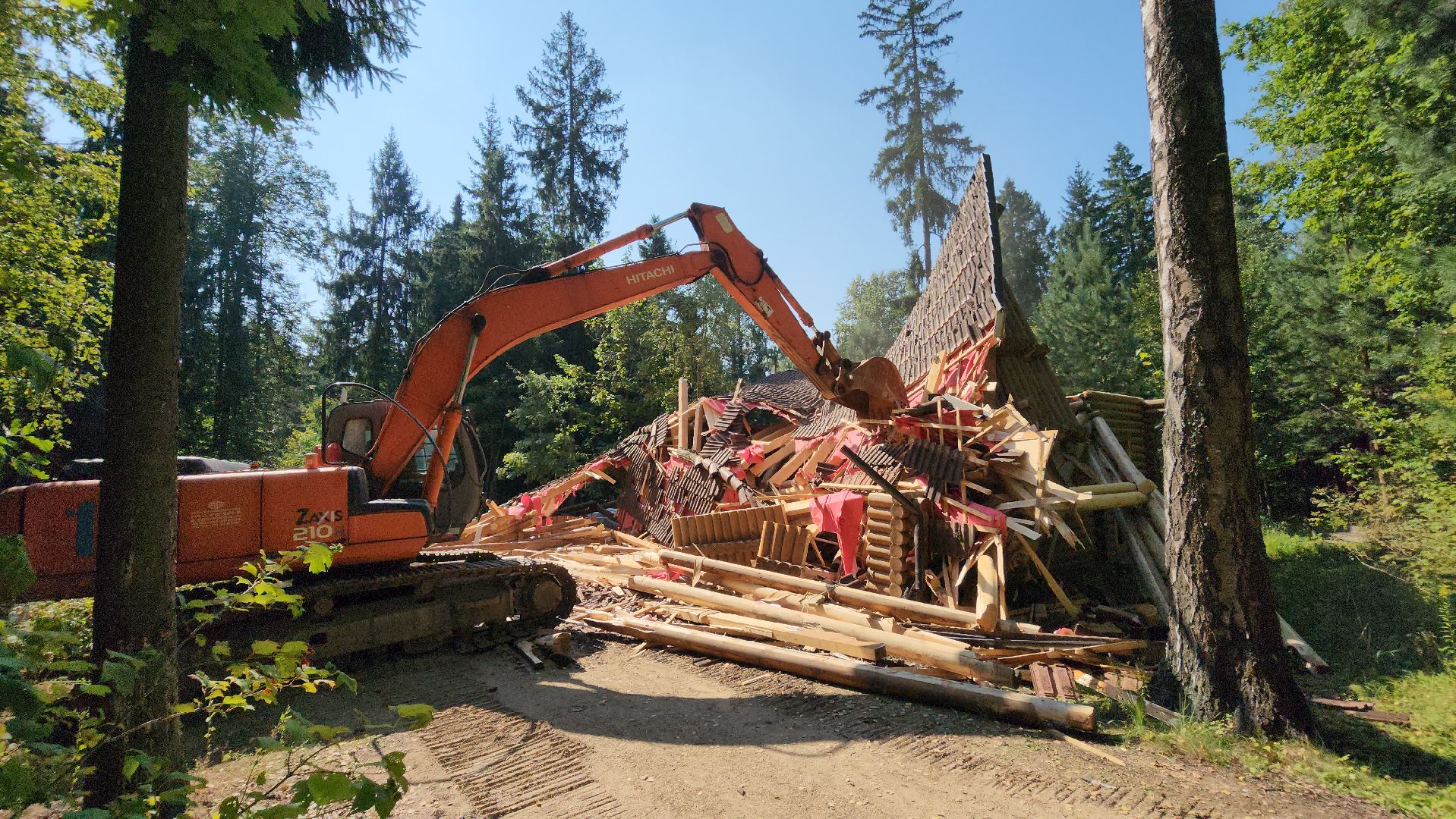 истра, лесное хозяйство, незаконное строительство,