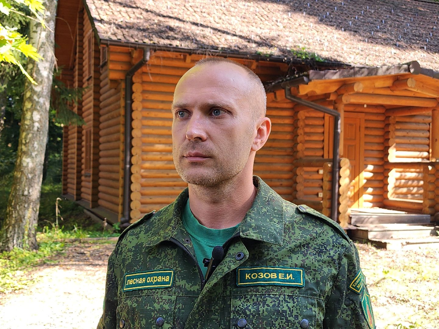 истра, лесное хозяйство, незаконное строительство,