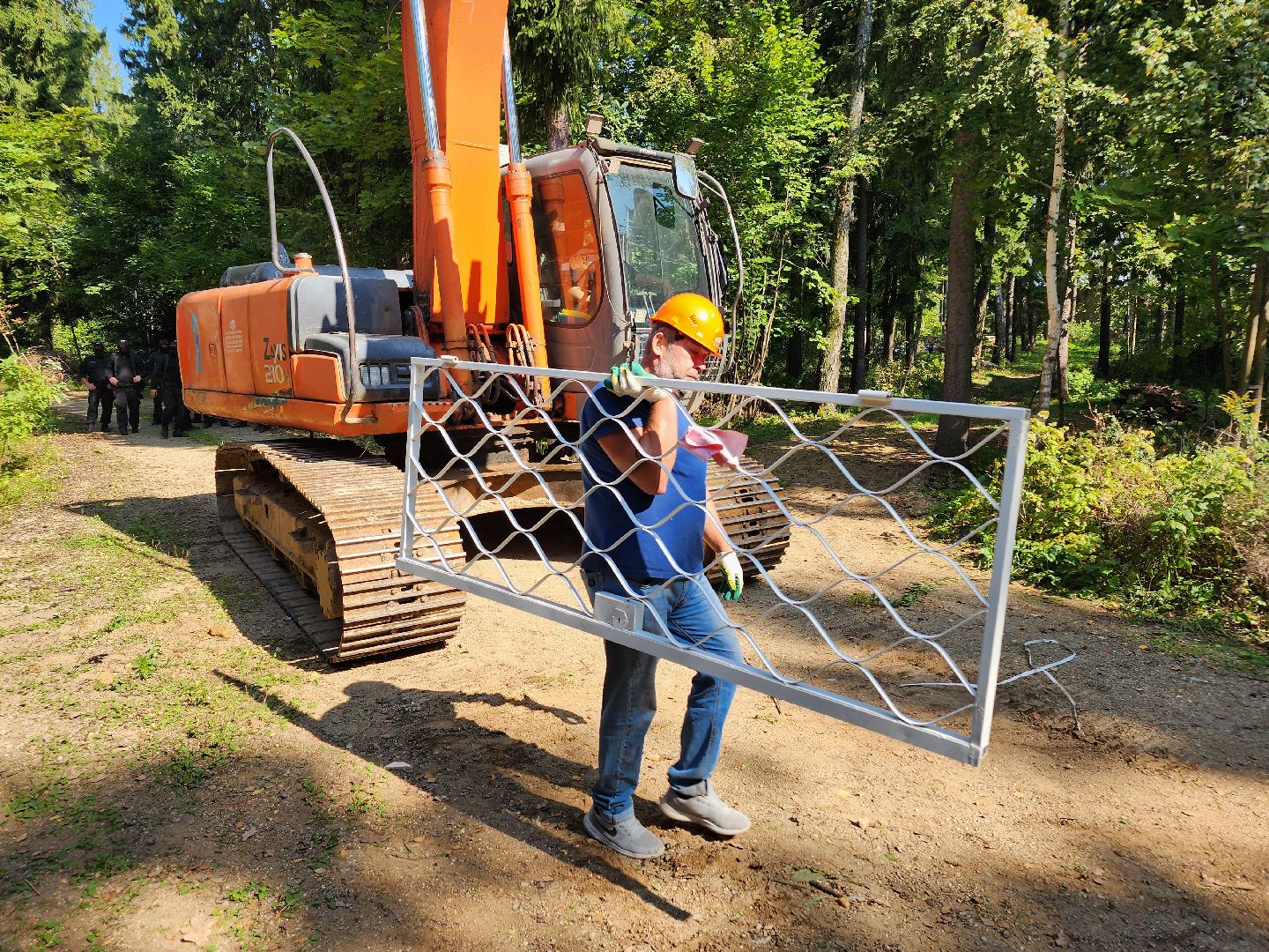 истра, лесное хозяйство, незаконное строительство,