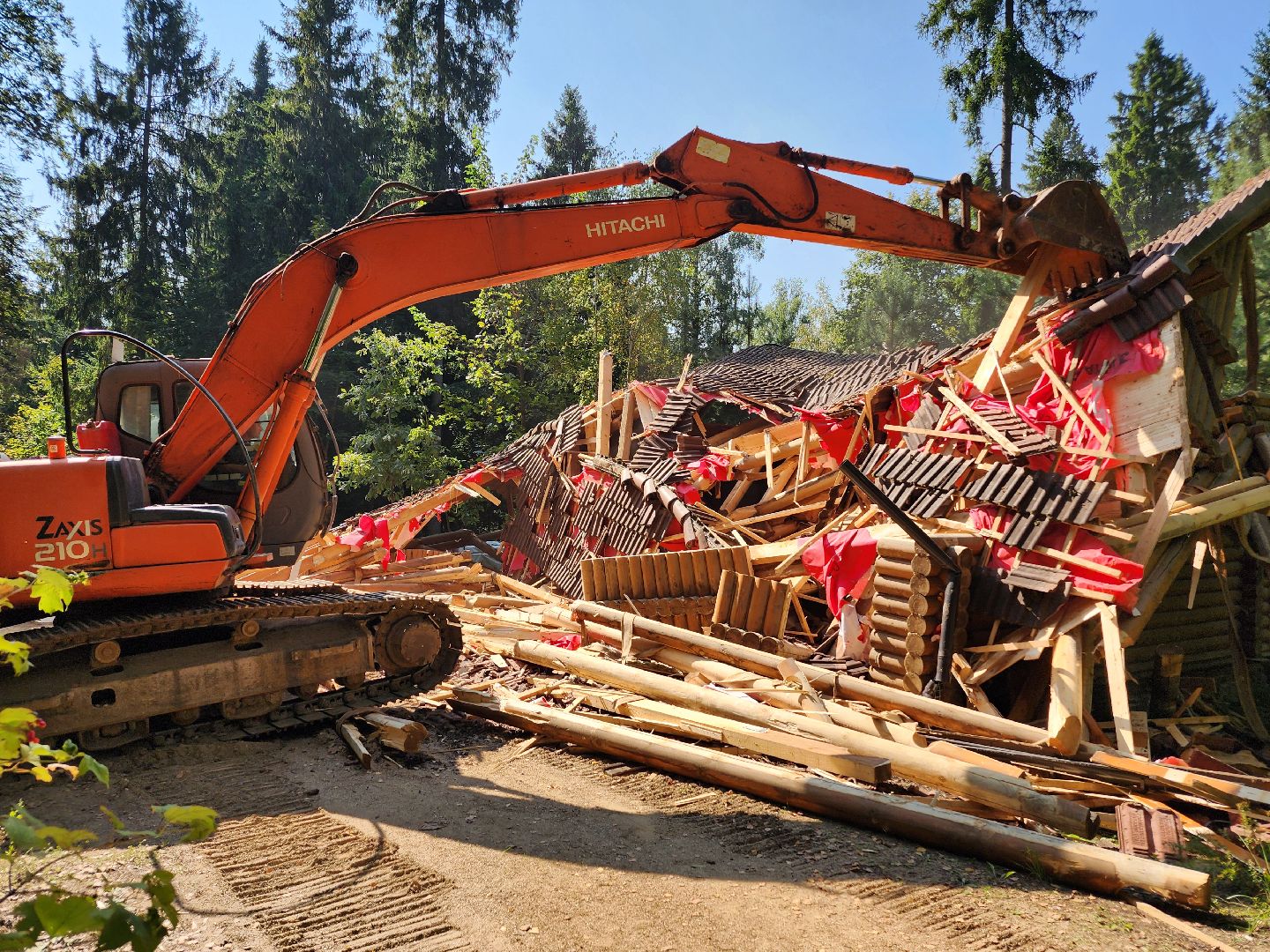 истра, лесное хозяйство, незаконное строительство,