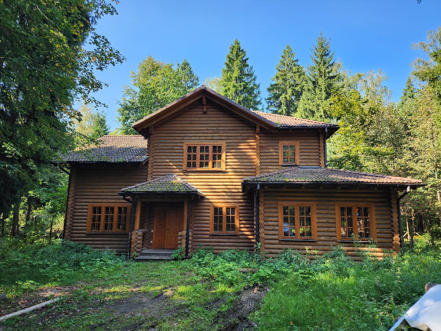 истра, лесное хозяйство, незаконное строительство,