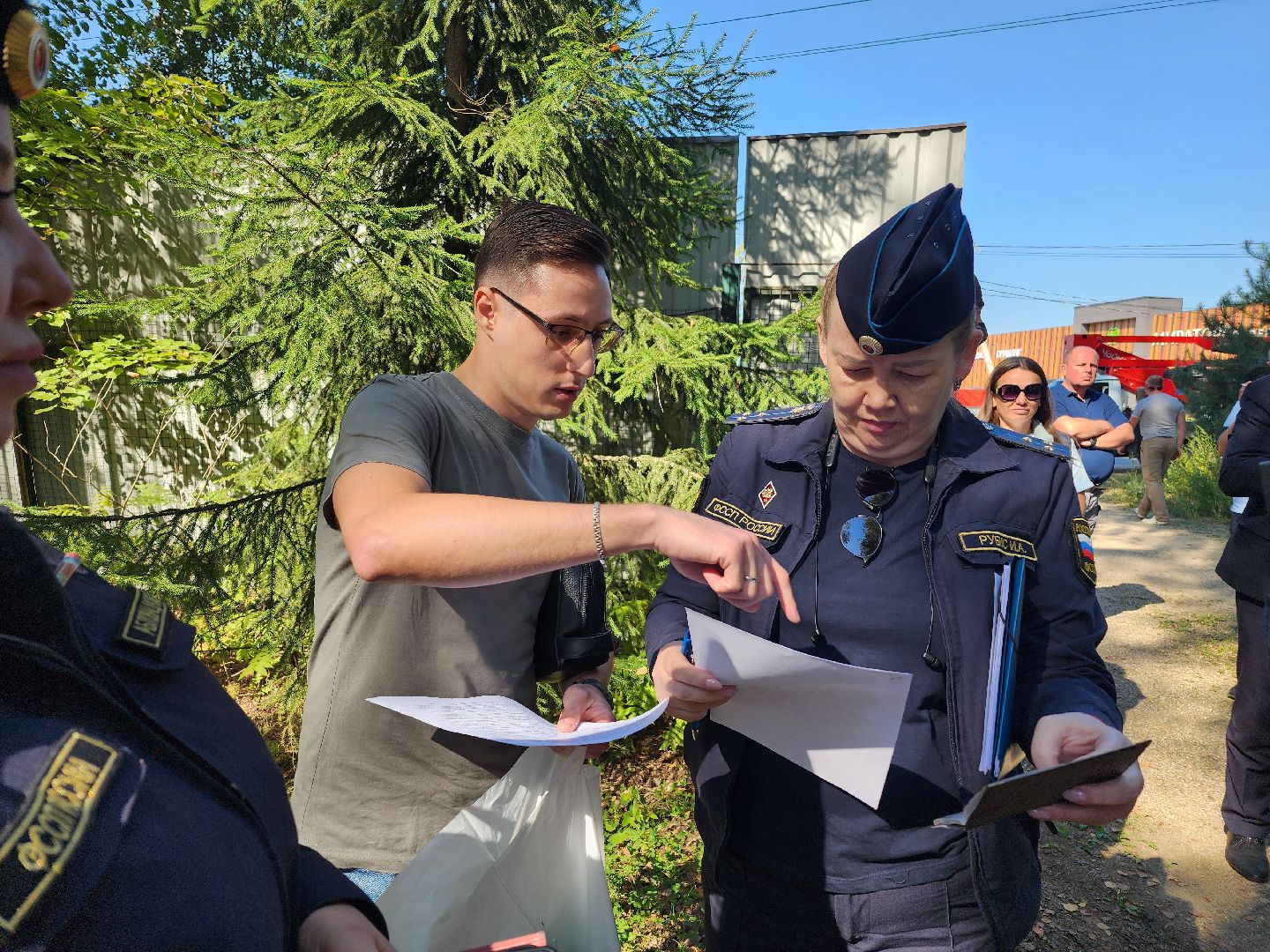 истра, лесное хозяйство, незаконное строительство,