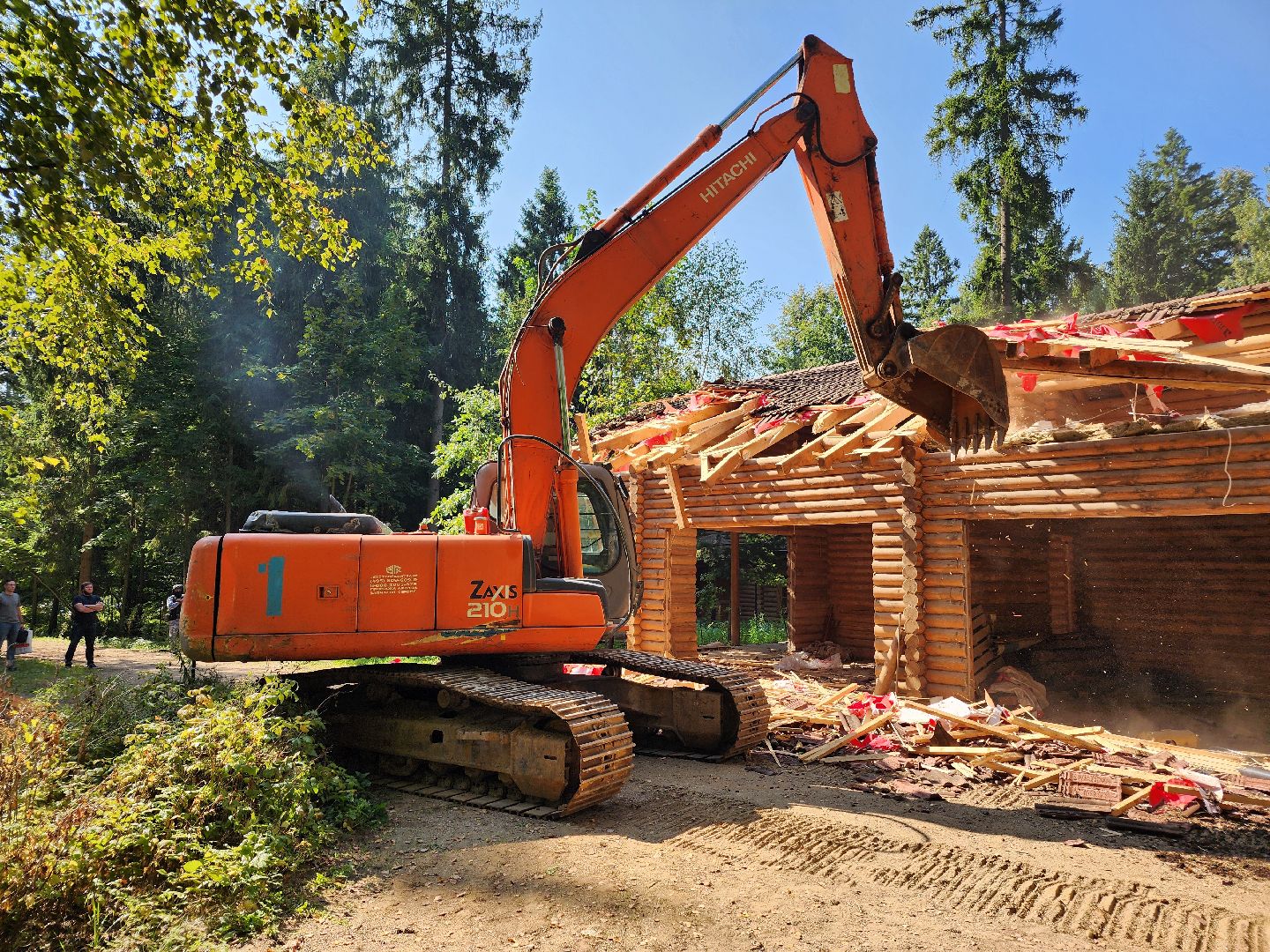 истра, лесное хозяйство, незаконное строительство,