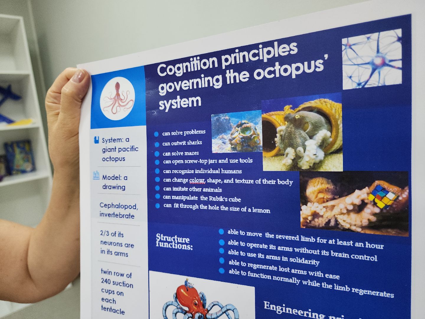 красногорск, кванториум, английский язык,