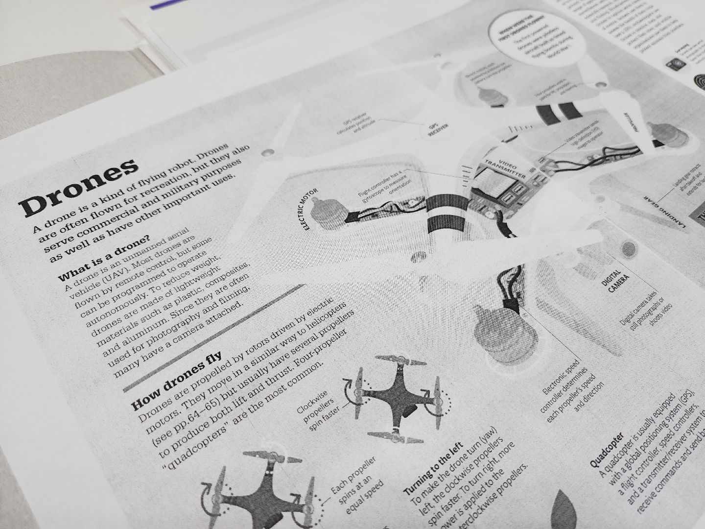 красногорск, кванториум, английский язык,