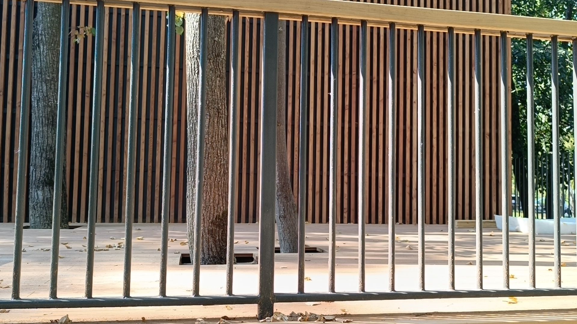 парк, лобня, раздевалка,