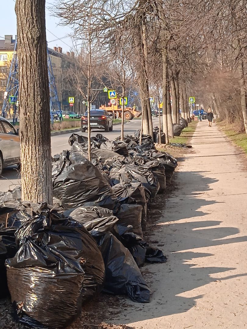 перемены, уборка, сквер, дворы, мусор