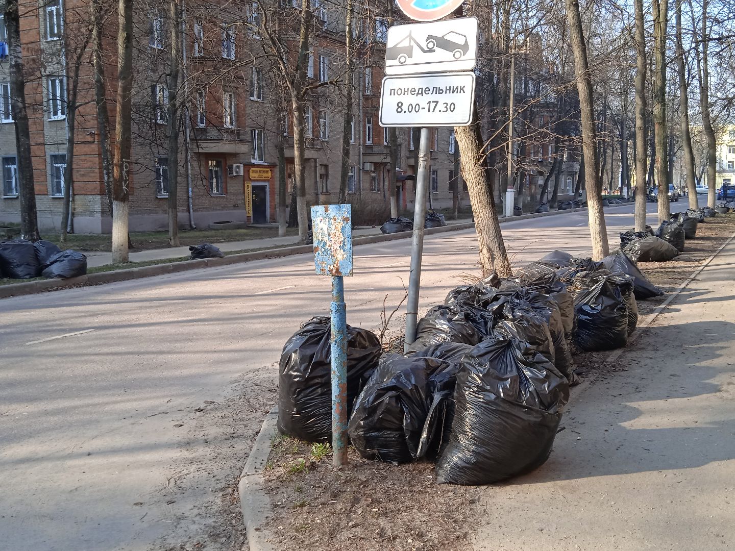 перемены, уборка, сквер, дворы, мусор