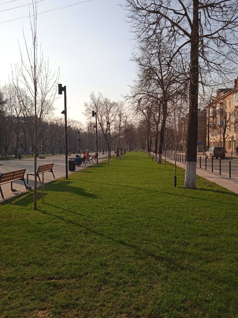 перемены, уборка, сквер, дворы, мусор