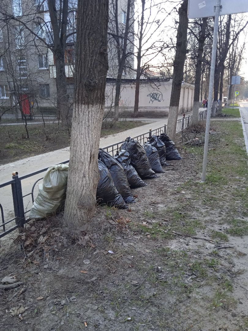 перемены, уборка, сквер, дворы, мусор