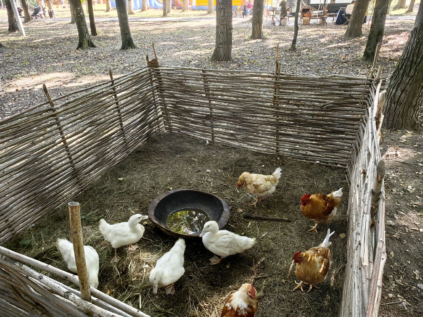 кинопоказ, фестиваль Русской культуры, ТРАДИЦИИ, мини-зоопарк с животными, фотозоны, Роспись по дереву,