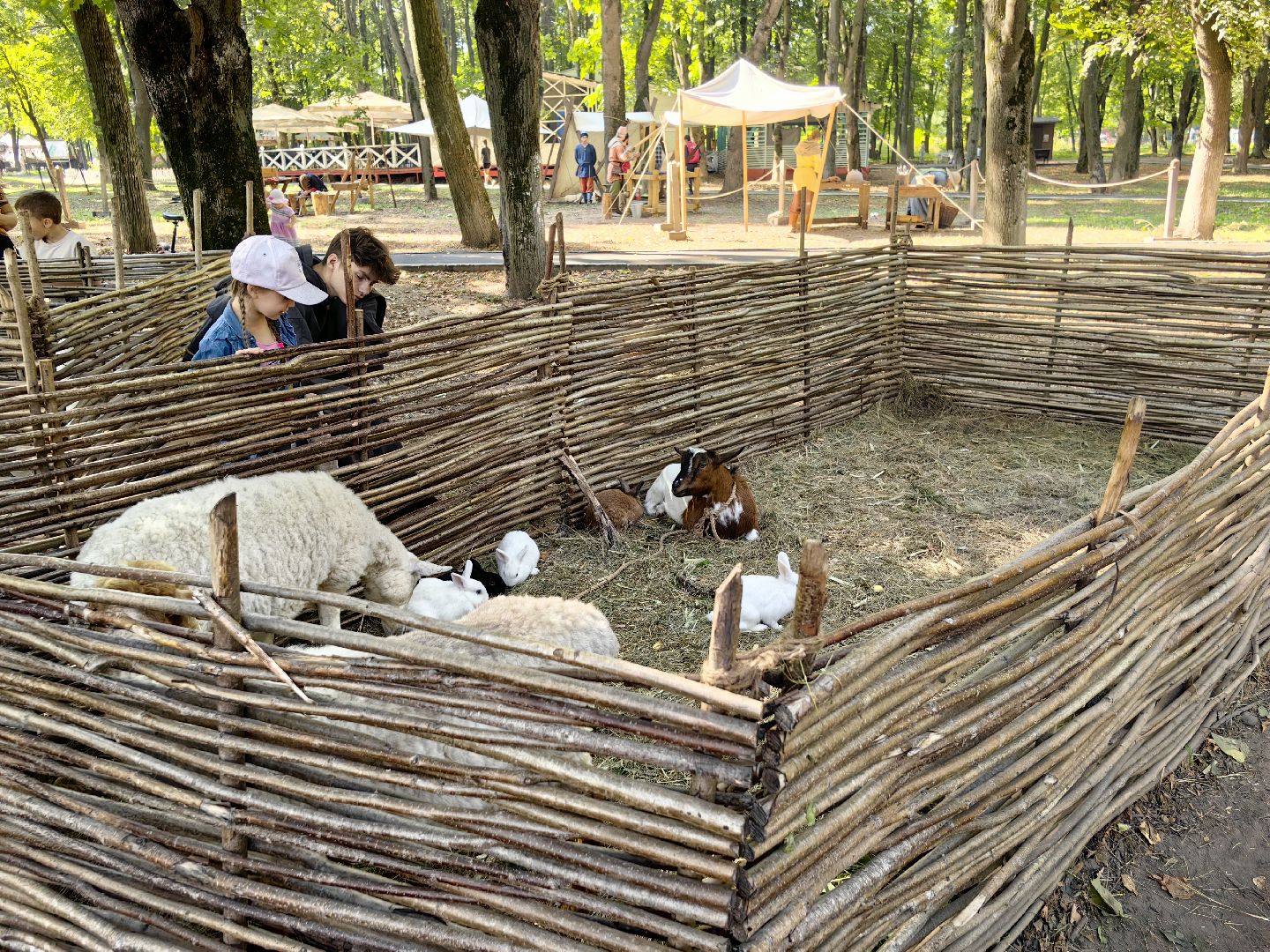 кинопоказ, фестиваль Русской культуры, ТРАДИЦИИ, мини-зоопарк с животными, фотозоны, Роспись по дереву,
