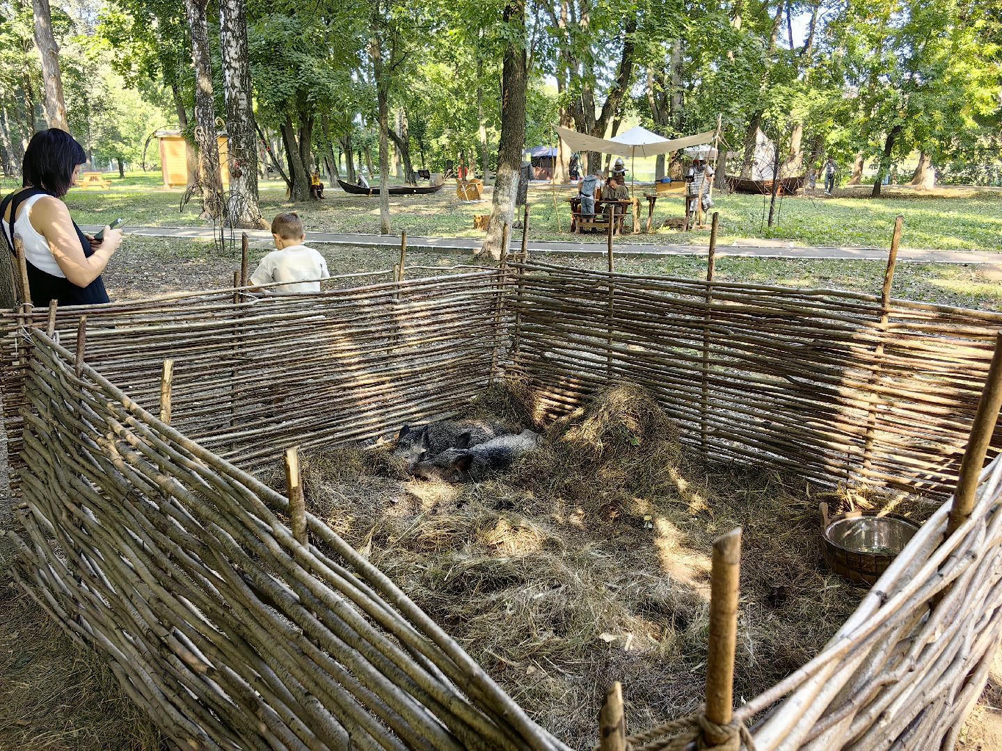 кинопоказ, фестиваль Русской культуры, ТРАДИЦИИ, мини-зоопарк с животными, фотозоны, Роспись по дереву,