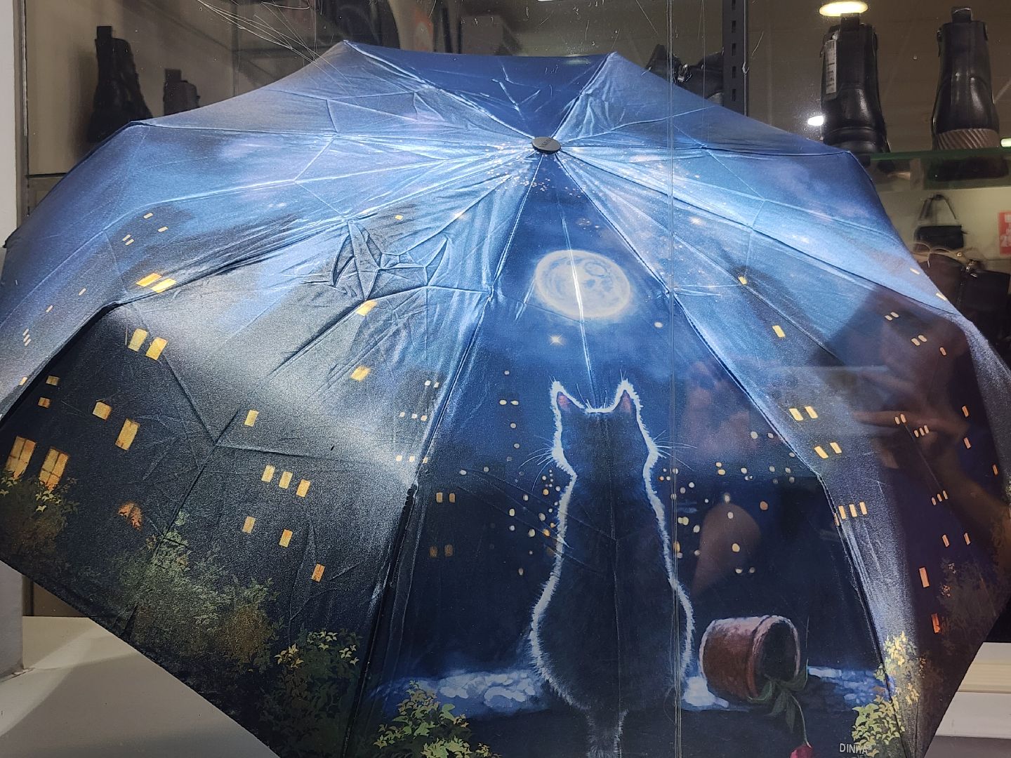 долгопрудный, проспект пацаева, петунии, хризантемы, вертикальные клумбы,