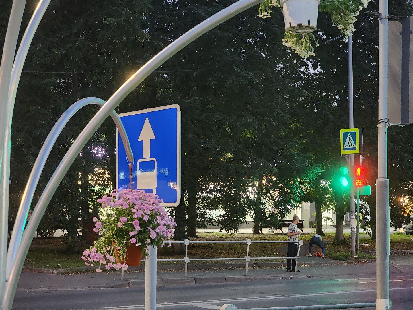 долгопрудный, проспект пацаева, петунии, хризантемы, вертикальные клумбы,