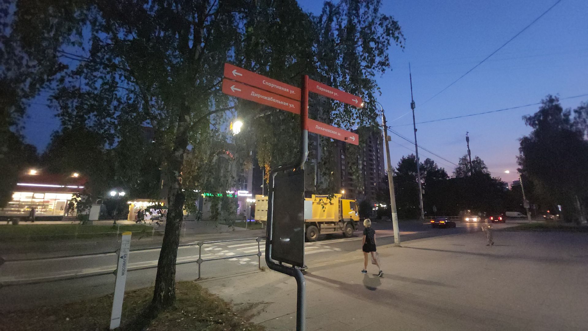 долгопрудный, проспект пацаева, петунии, хризантемы, вертикальные клумбы,