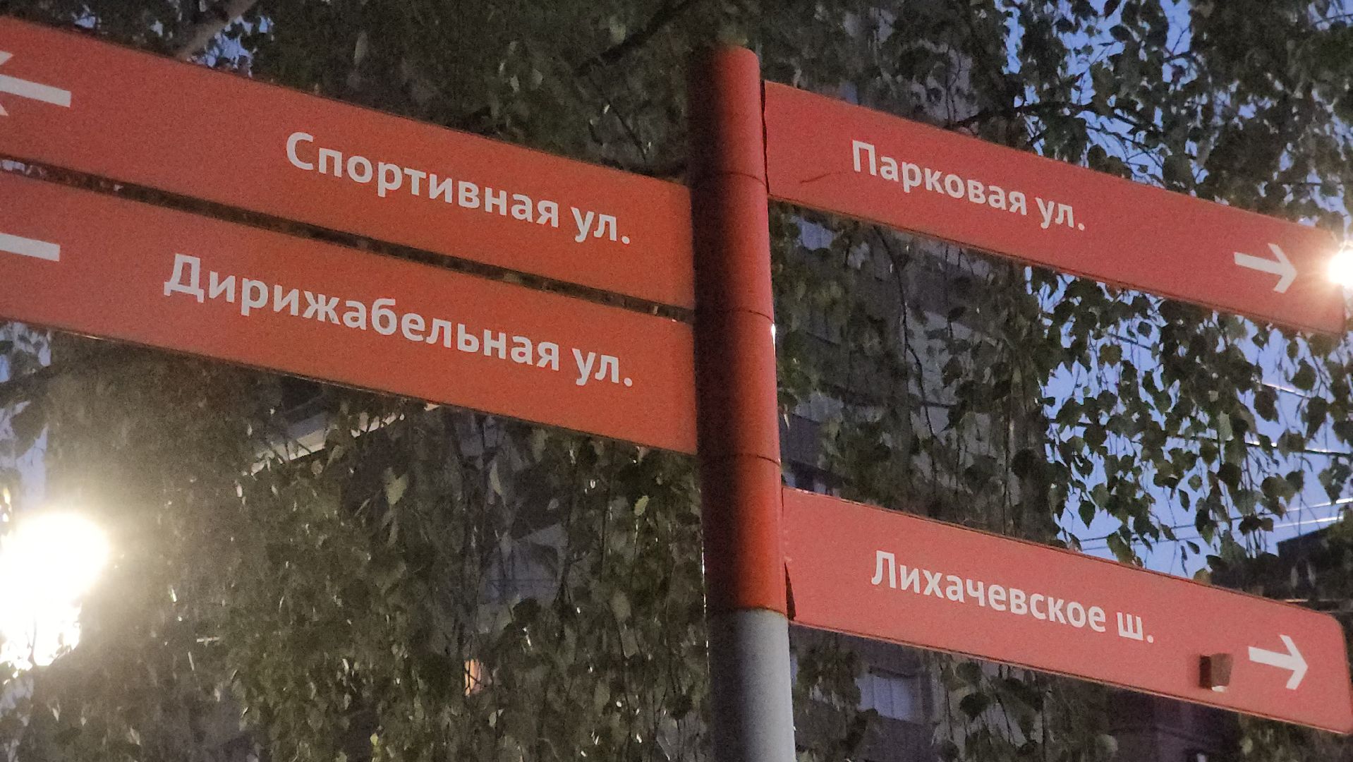 долгопрудный, проспект пацаева, петунии, хризантемы, вертикальные клумбы,