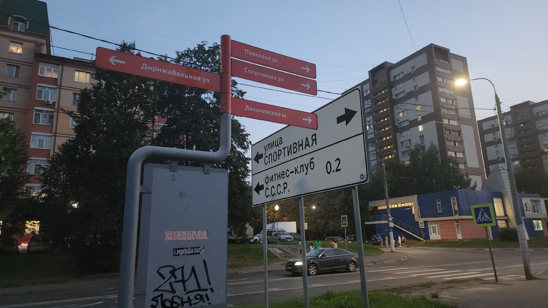 долгопрудный, проспект пацаева, петунии, хризантемы, вертикальные клумбы,