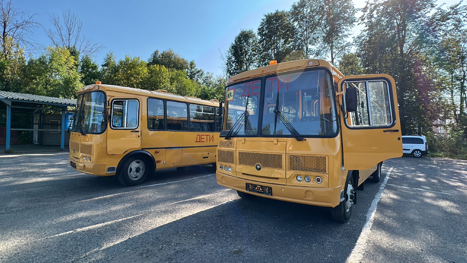 Клин, общество, образование, школьные автобусы,