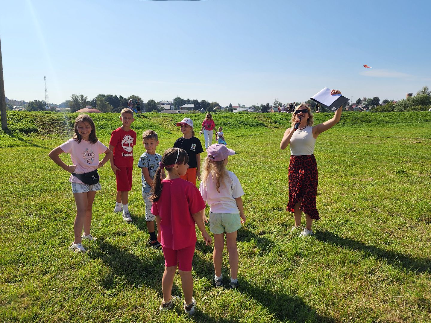 волоколамск, Арбузник, воздушные змеи,
