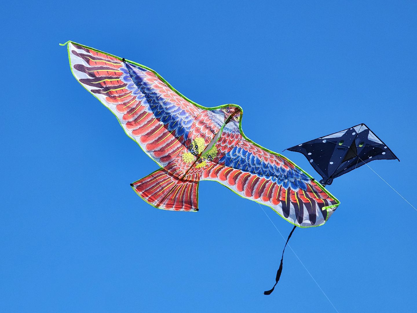 волоколамск, Арбузник, воздушные змеи,