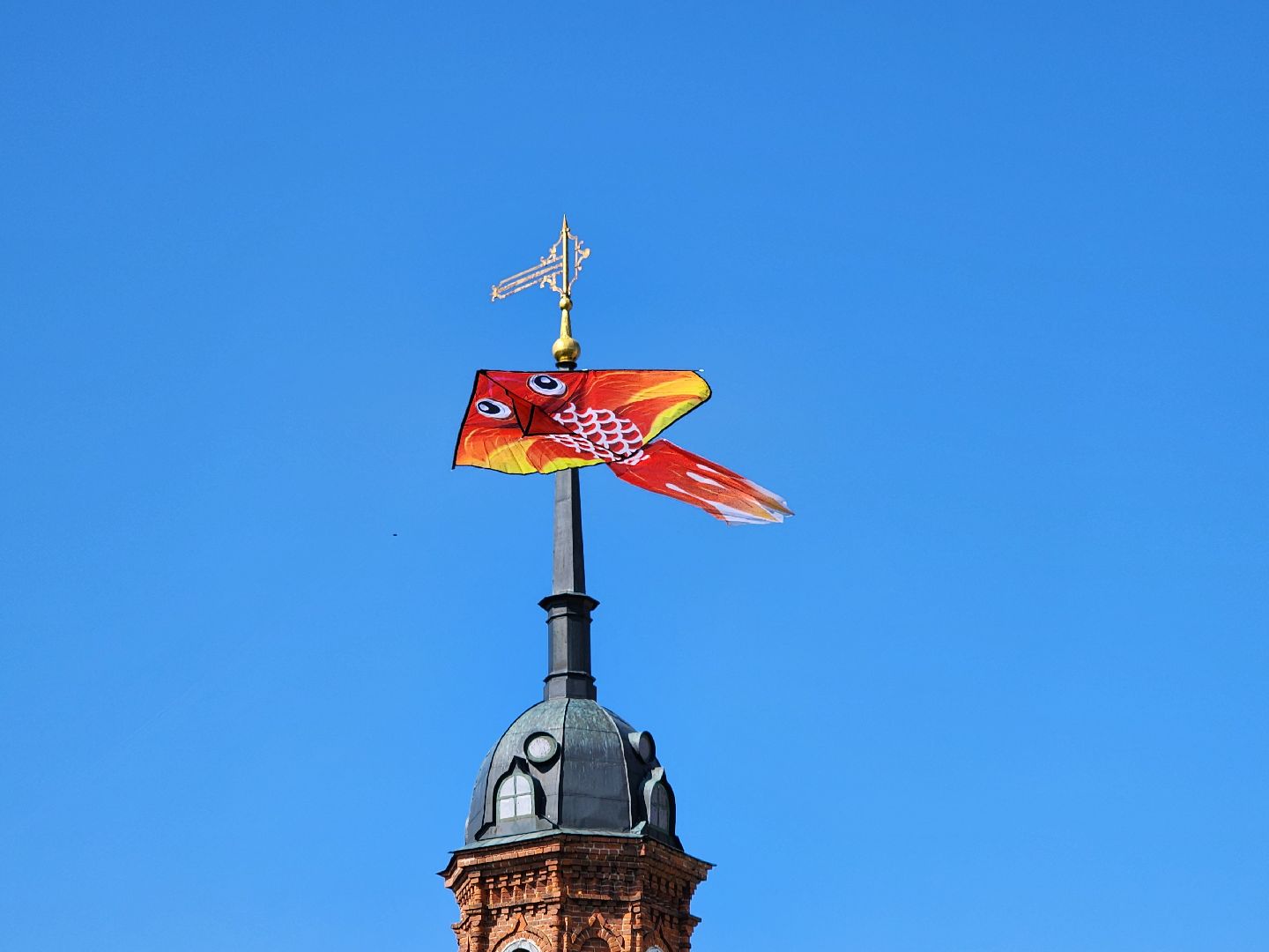 волоколамск, Арбузник, воздушные змеи,