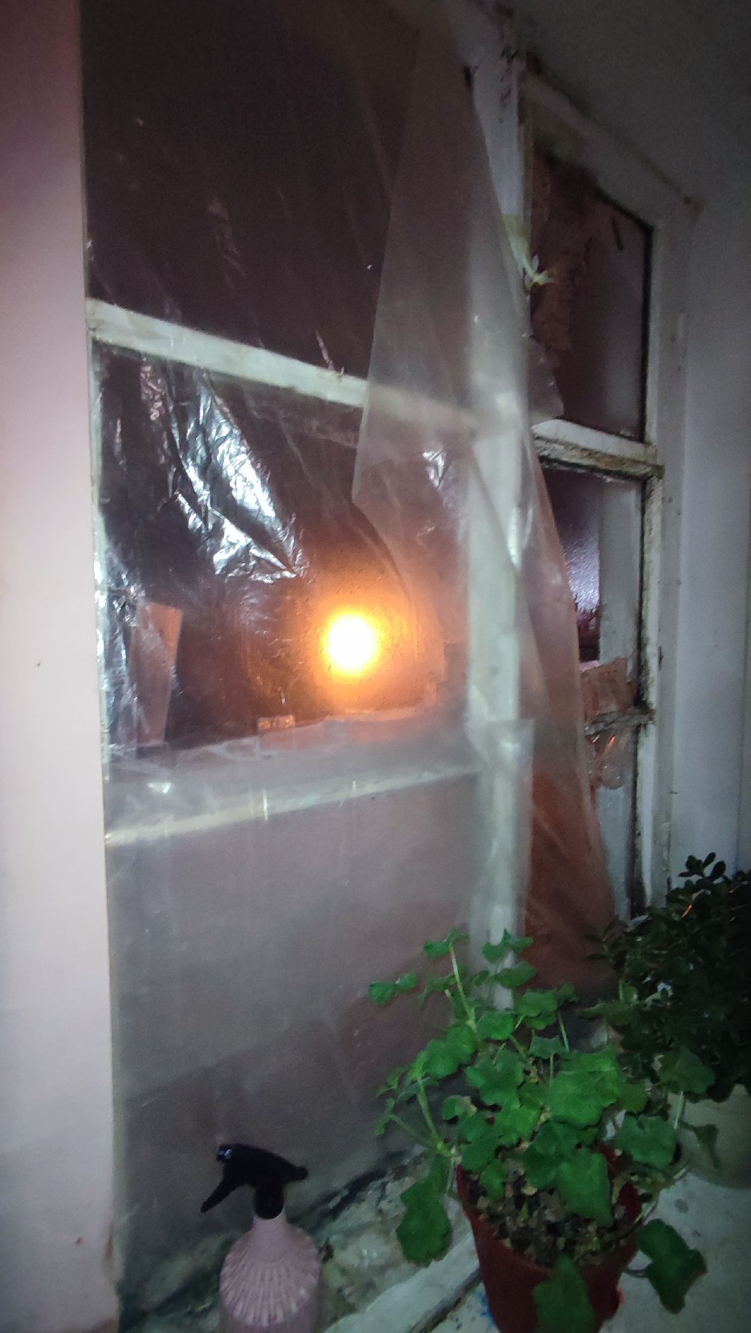 Кашира, общество