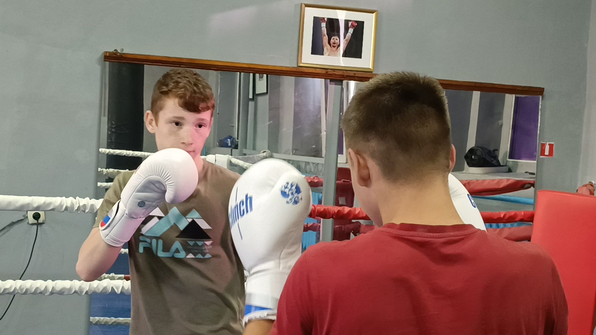бокс, лобня, спорт,