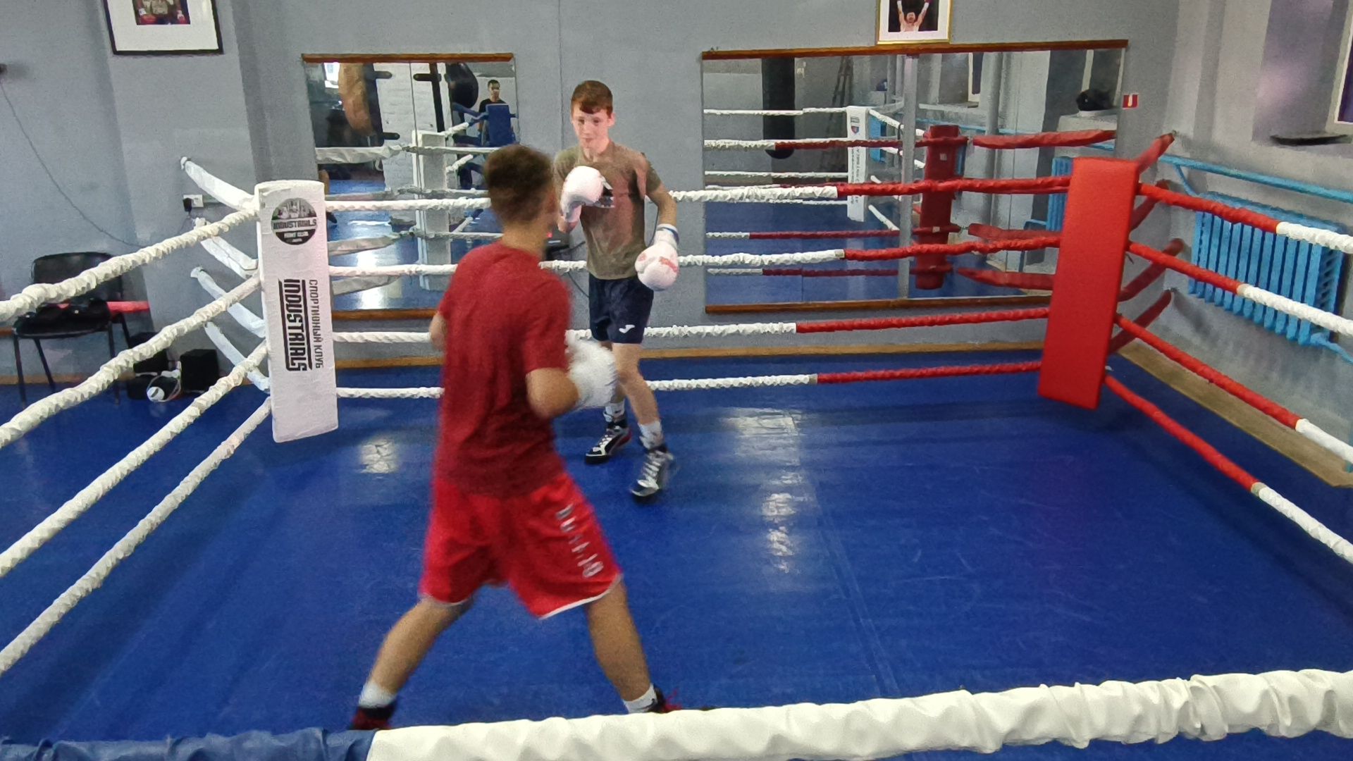 бокс, лобня, спорт,