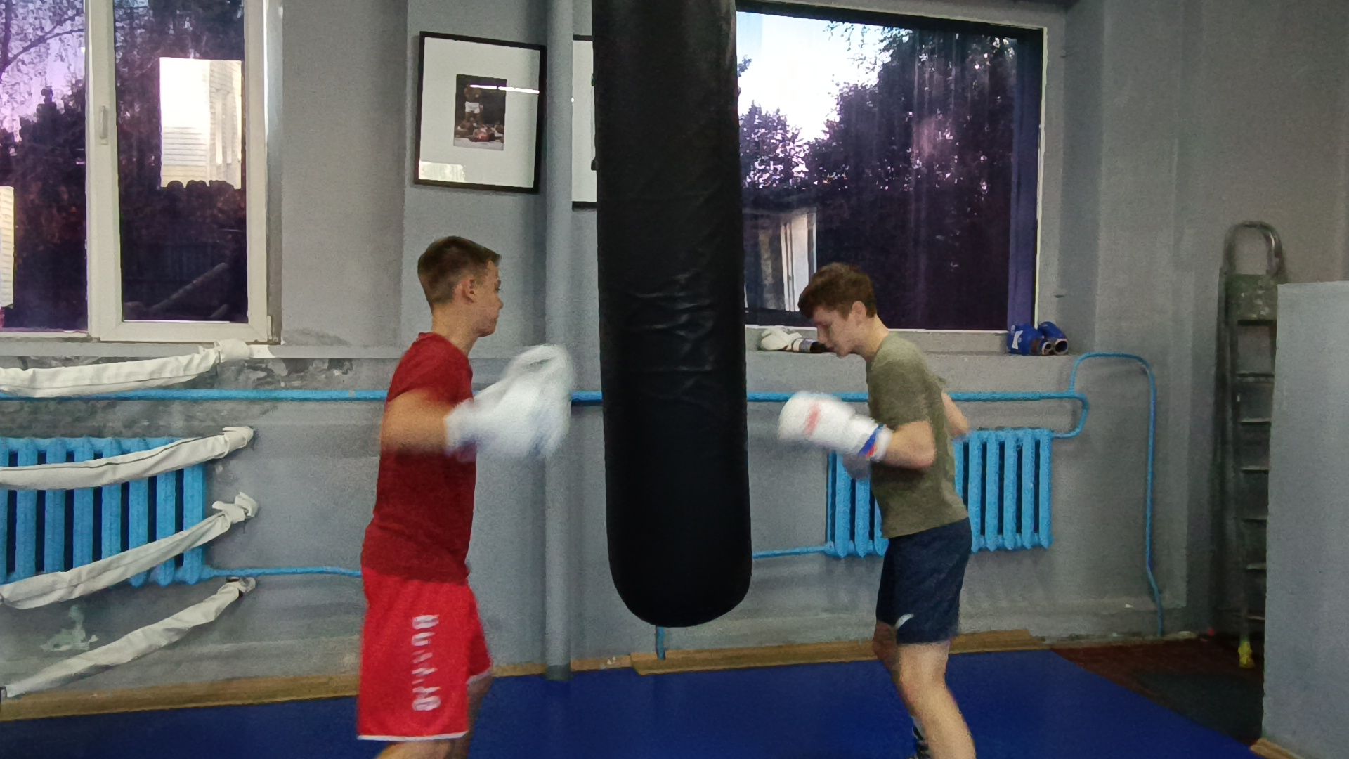 бокс, лобня, спорт,