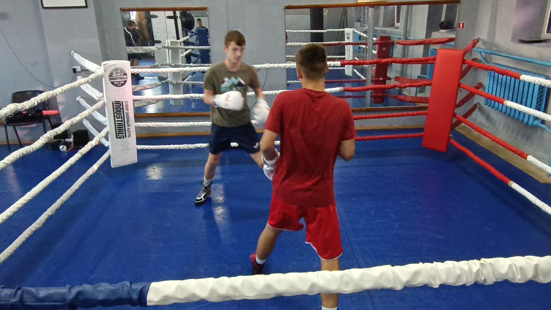 бокс, лобня, спорт,