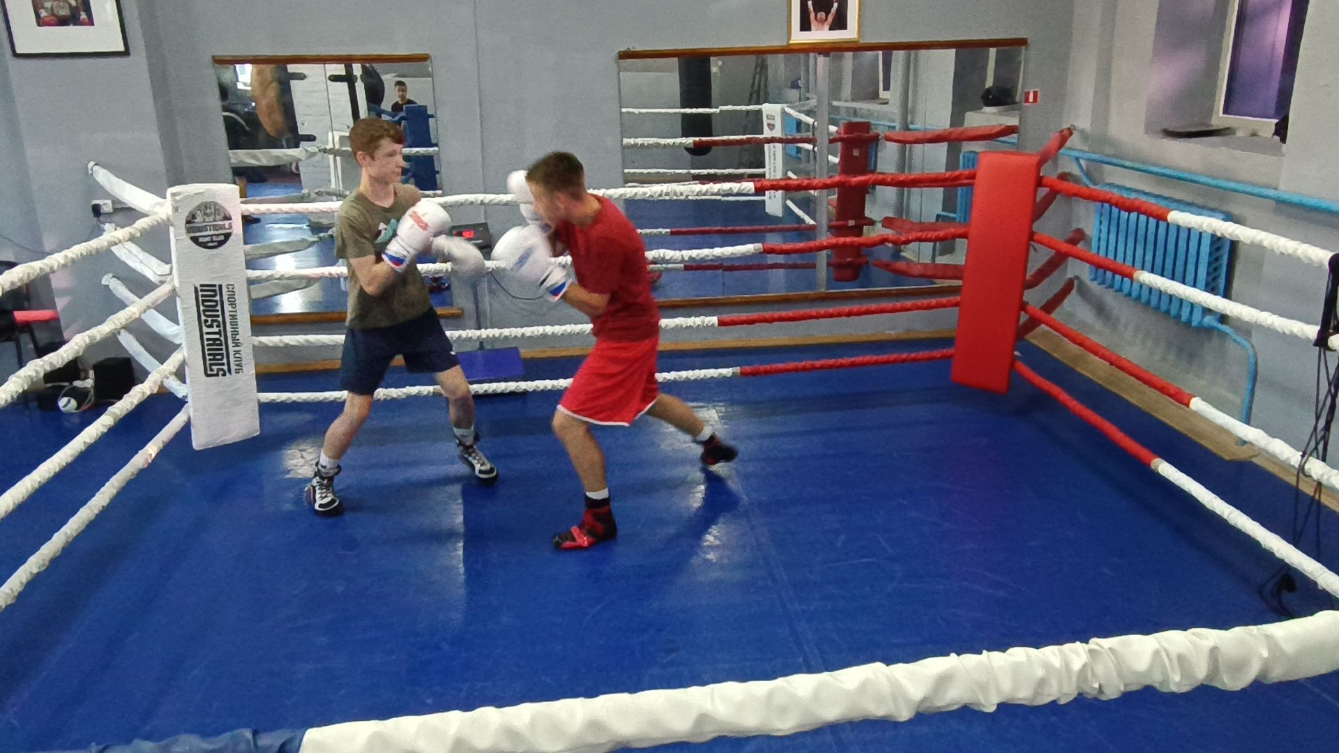 бокс, лобня, спорт,