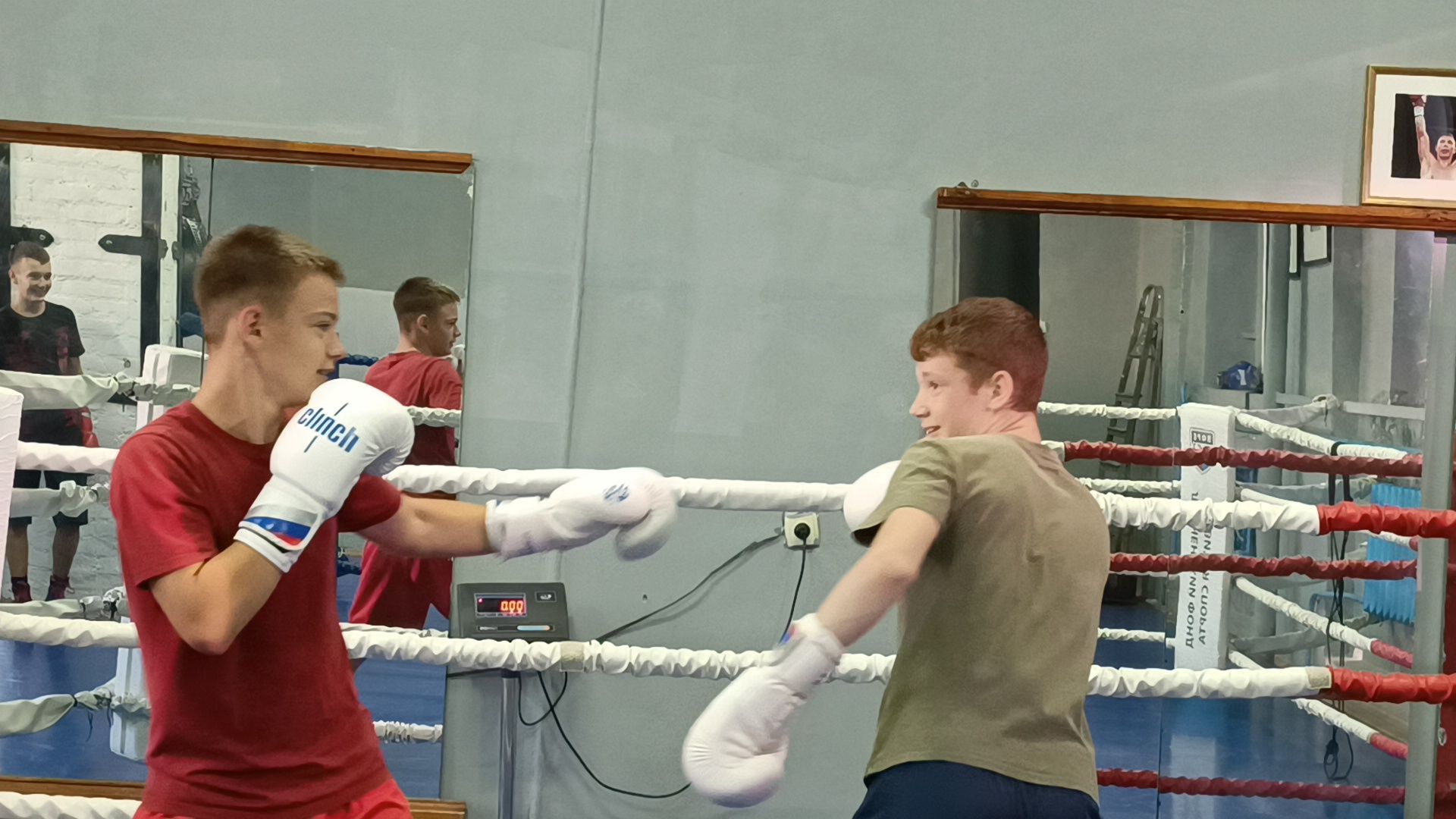 бокс, лобня, спорт,