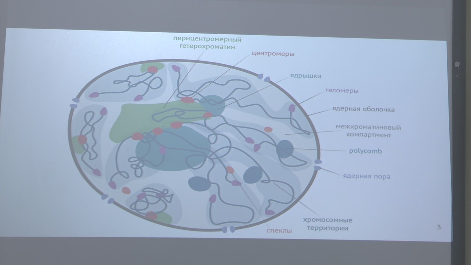 Реутов, школа 1, образование, физтех классы, углубленное изучение предметов,физтех лицей, лучшая школа Подмосковья,
